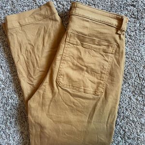 Everlane straight leg crop